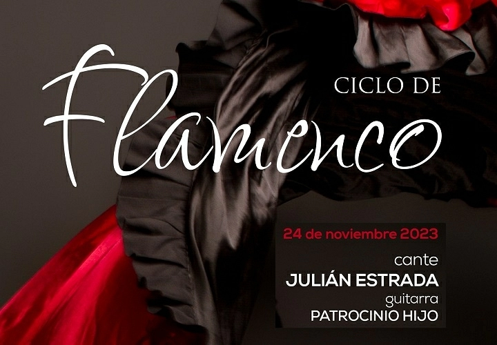 Ciclo de Flamenco - Julián Estrada y Patrocinio Hijo