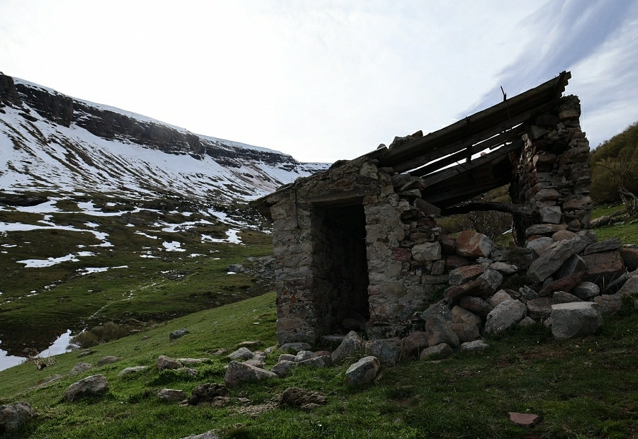 Fundación Ávila participa en Reactiva Brañosera, un proyecto para recuperar los bosques y pastos del primer municipio de España