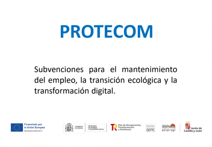 PROTECOM. Subvenciones para el mantenimiento del empleo, la transición ecológica y la transformación digital 2022