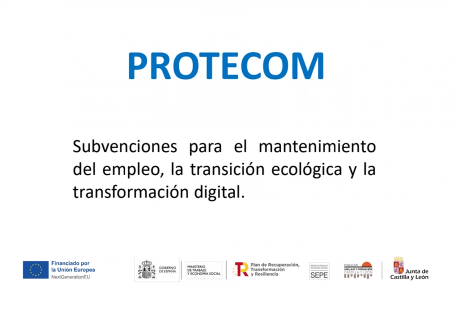 PROTECOM. Subvenciones para el mantenimiento del empleo, la transición ecológica y la transformación digital 2022