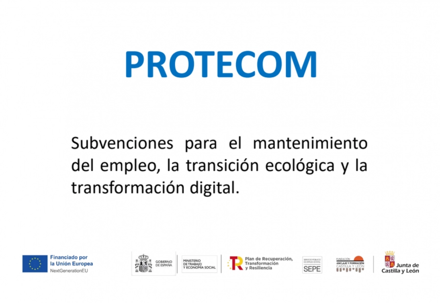 PROTECOM. Subvenciones para el mantenimiento del empleo, la transición ecológica y la transformación digital 2022