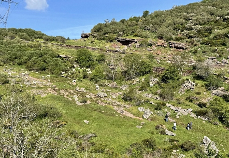 Programa Planet Energy de MOEVE