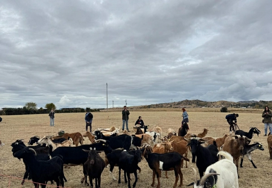 Fundación Ávila pone en marcha la última edición de la Escuela de Pastores, dentro del proyecto Reactiva Brañosera