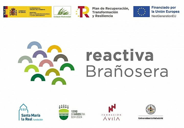 Reactiva Brañosera