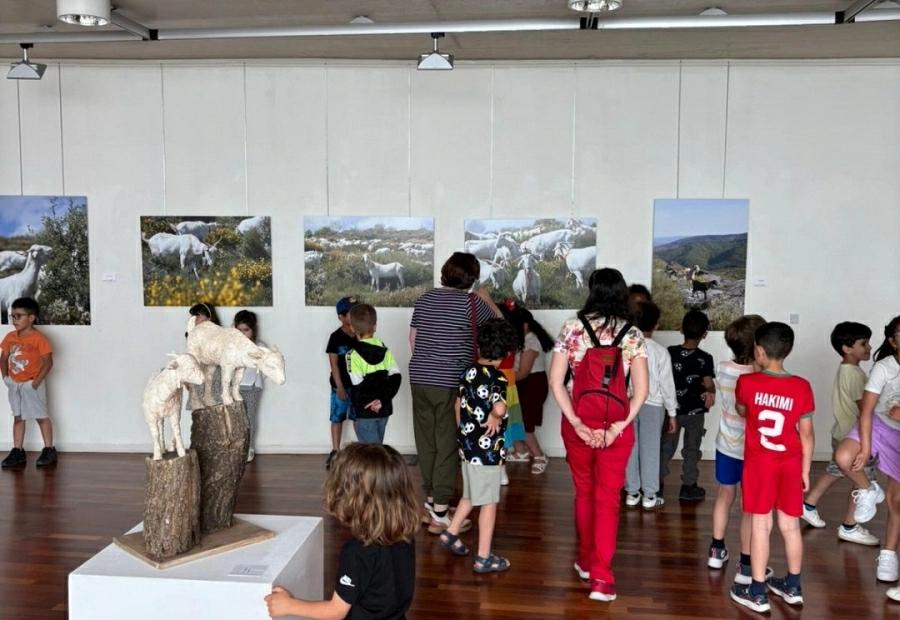 Fundación Ávila abre al público una exposición sobre ganadería trashumante dentro del proyecto Reactiva Brañosera