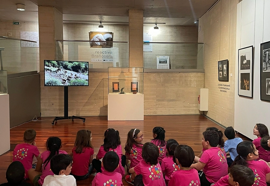 Fundación Ávila abre al público una exposición sobre ganadería trashumante dentro del proyecto Reactiva Brañosera