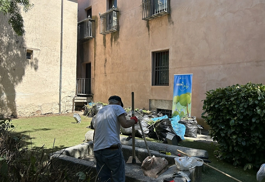 Participante en sesiones prácticas