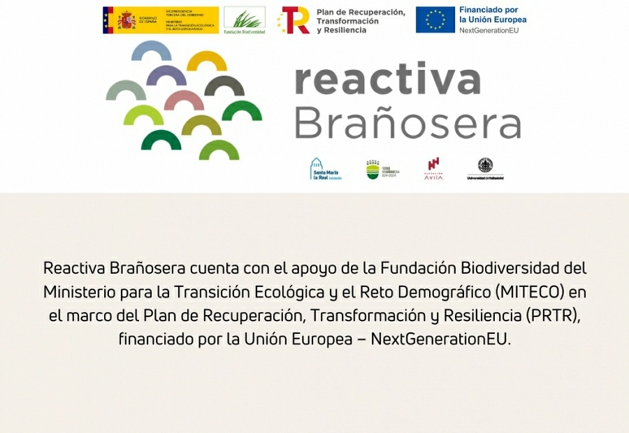 Fundación Ávila participa en Reactiva Brañosera, un proyecto para recuperar los bosques y pastos del primer municipio de España