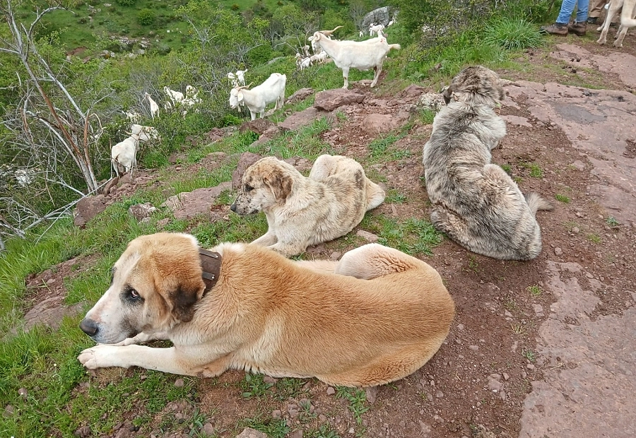 Programa Planet Energy de MOEVE