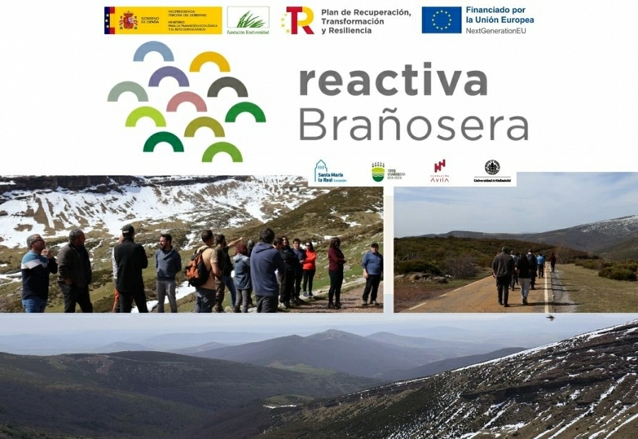 Reactiva Brañosera