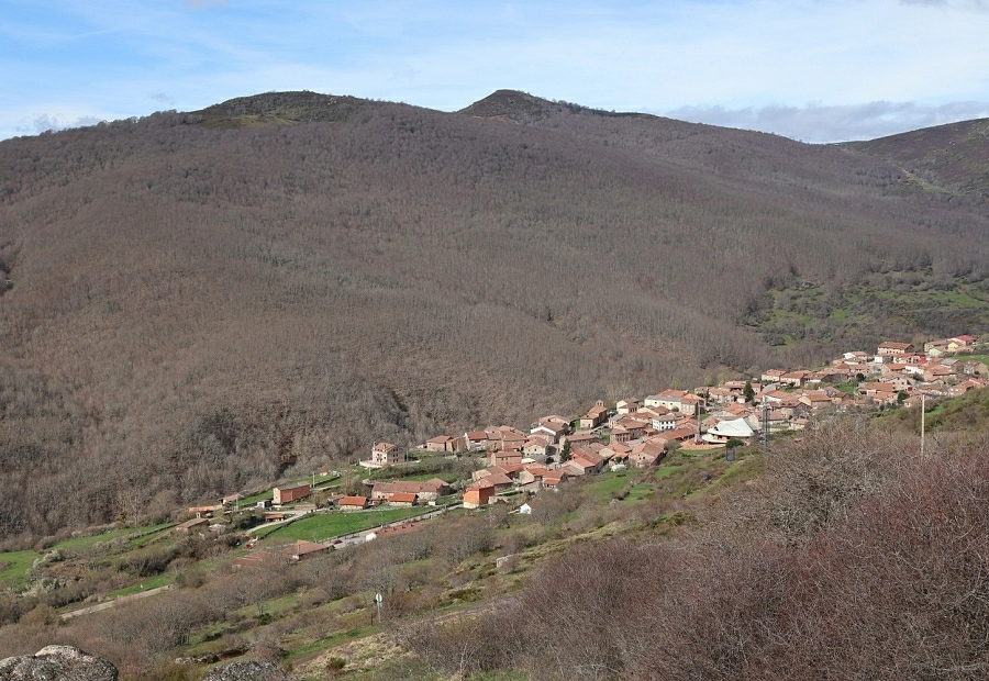 Fundación Ávila participa en Reactiva Brañosera, un proyecto para recuperar los bosques y pastos del primer municipio de España