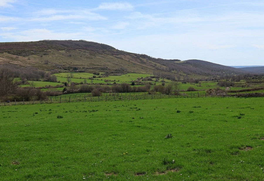 Fundación Ávila participa en Reactiva Brañosera, un proyecto para recuperar los bosques y pastos del primer municipio de España