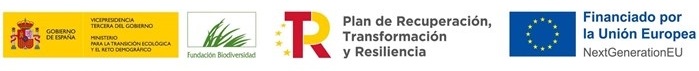 Fundación Ávila